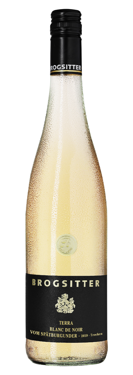 Brogsitter Weingüter, Rheinhessen Terra Blanc, Spätburgunder Blanc de Noir  