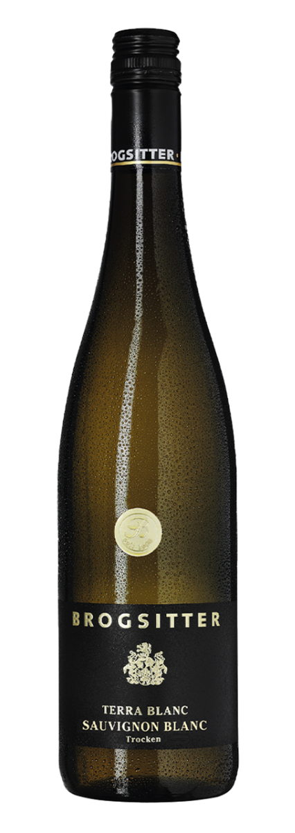 Brogsitter Weingüter, Rheinhessen Terra Blanc Sauvignon Blanc  