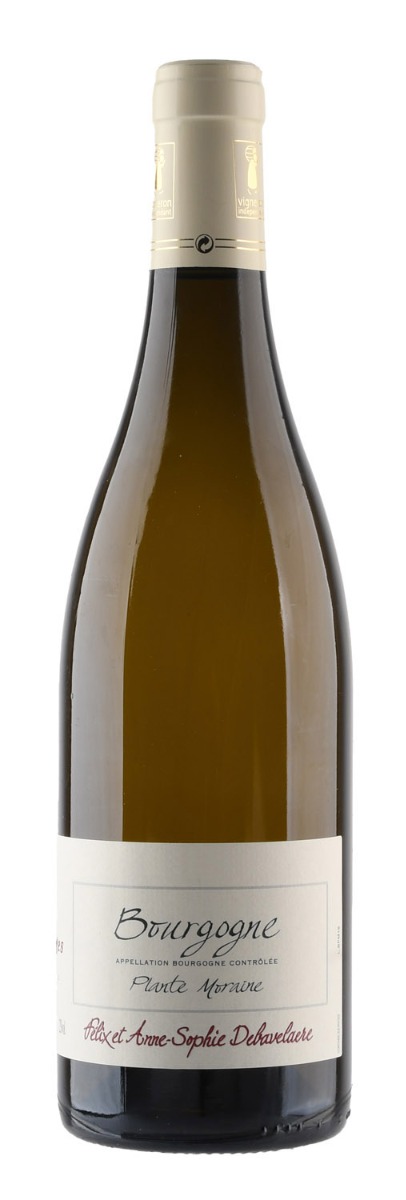 Domaine Rois Mages, Bourgogne AC Chardonnay  